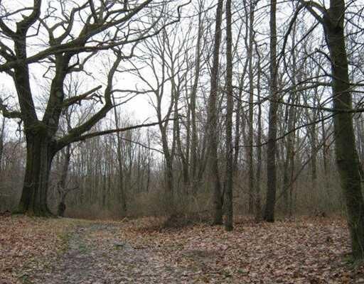 Property Photo: 5031 W 38th Street PA 16506