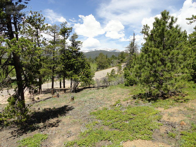 Property Photo: 0 Peak To Peak Hwy CO 80466