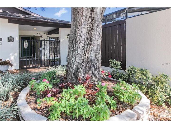 Property Photo:  5029 Paloma Drive  FL 33624 