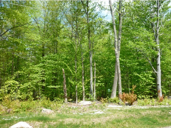 Property Photo:  Lot 3 High Point Drive  NH 03810 