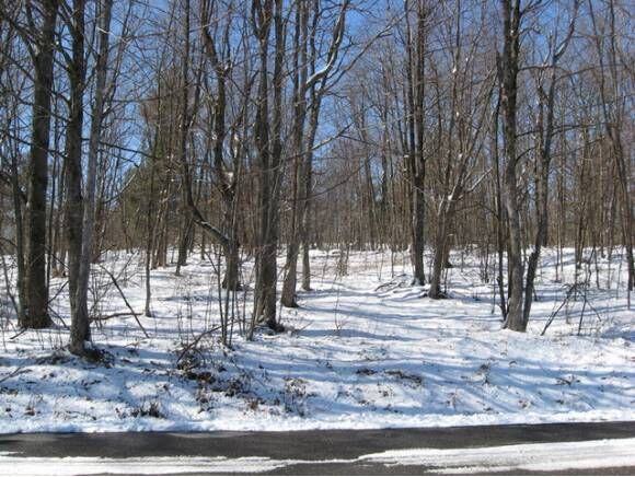 Property Photo:  00 Oak Knoll Road  VT 05495 