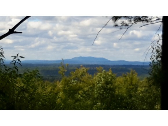 Property Photo:  Quimby Mountain Road 10  NH 03106 