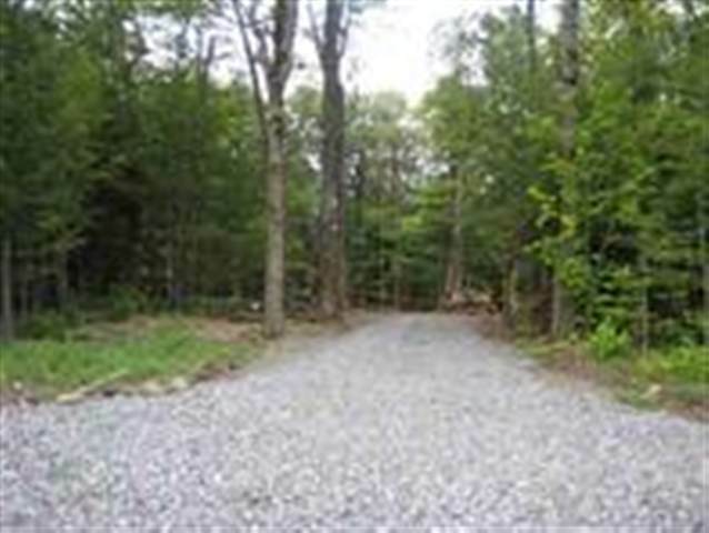 Lot 1 Lake Road  Duanesburg NY 12056 photo