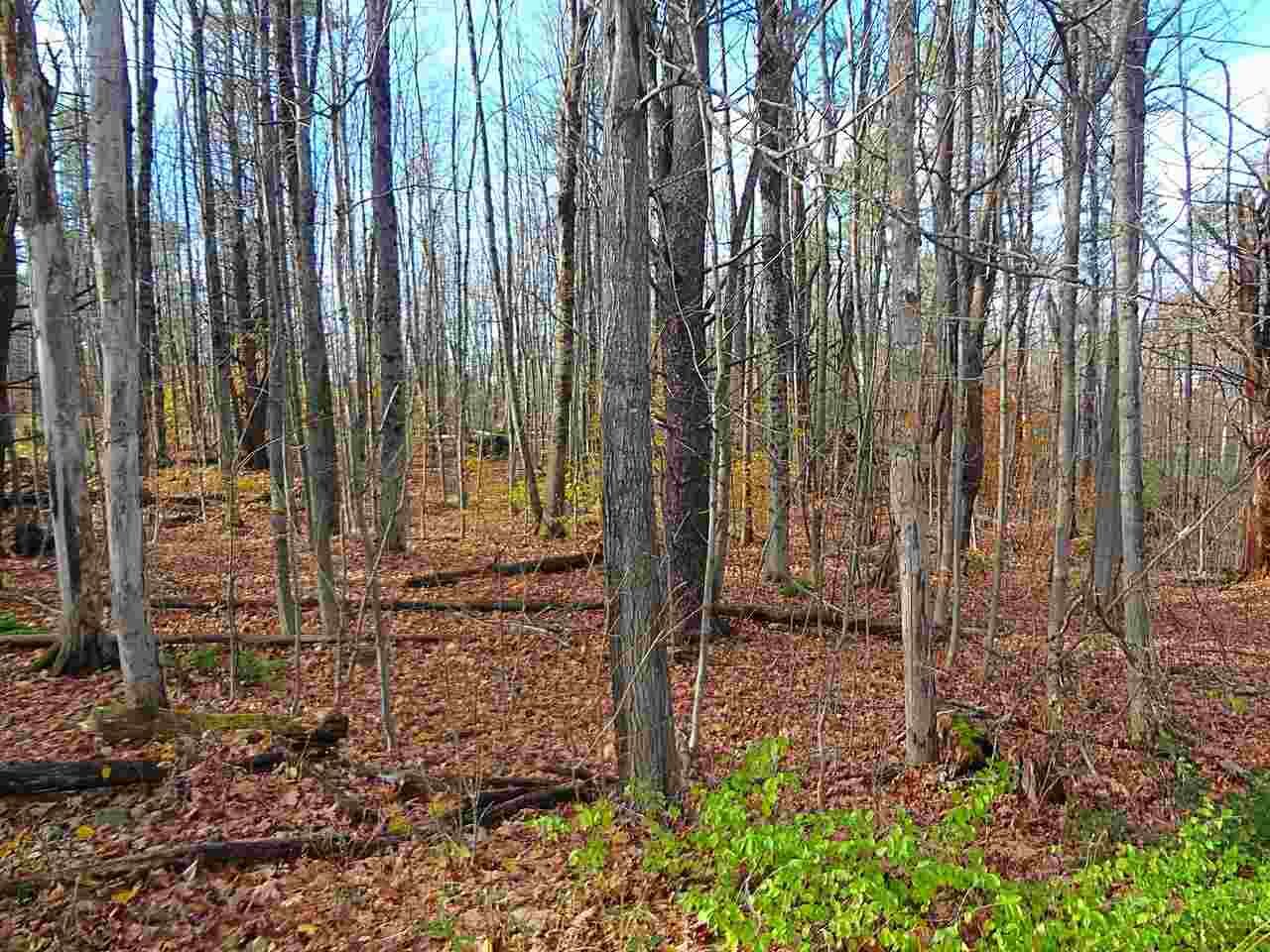 Property Photo:  00 Sherwood Forest Road 1  VT 05495 