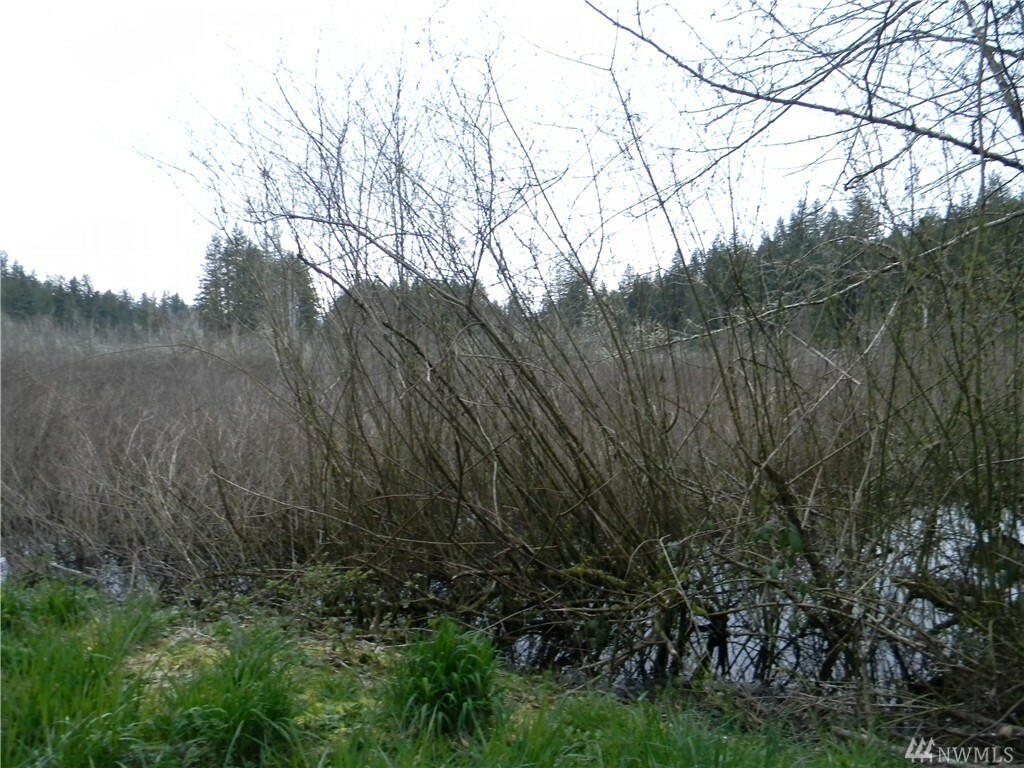32121 Benbow Dr E  Graham WA 98338 photo