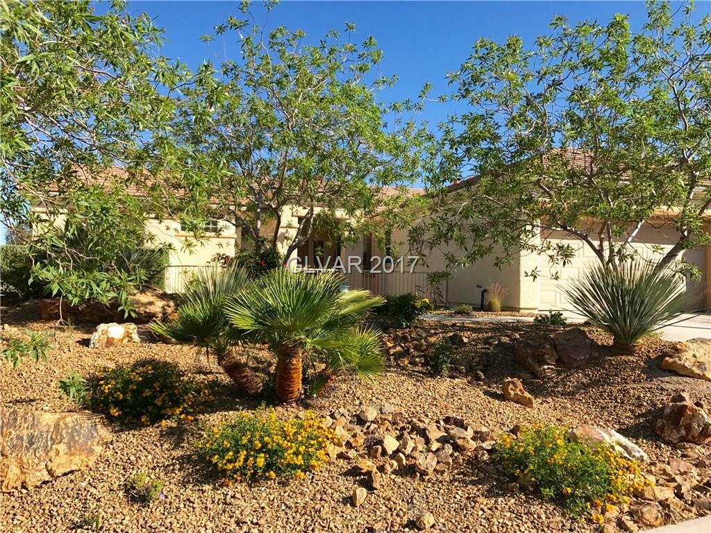 Property Photo:  2826 Somerset Springs Drive 0  NV 89052 