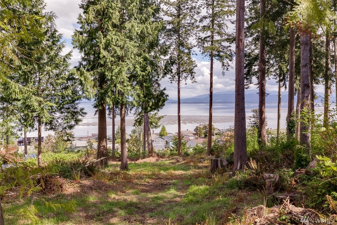 Property Photo: 343 Tillicum Way WA 98282