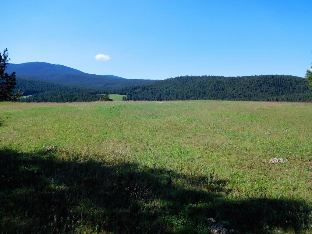 Property Photo:  960xx Kitt-Narcisse Rd  WA 99114 