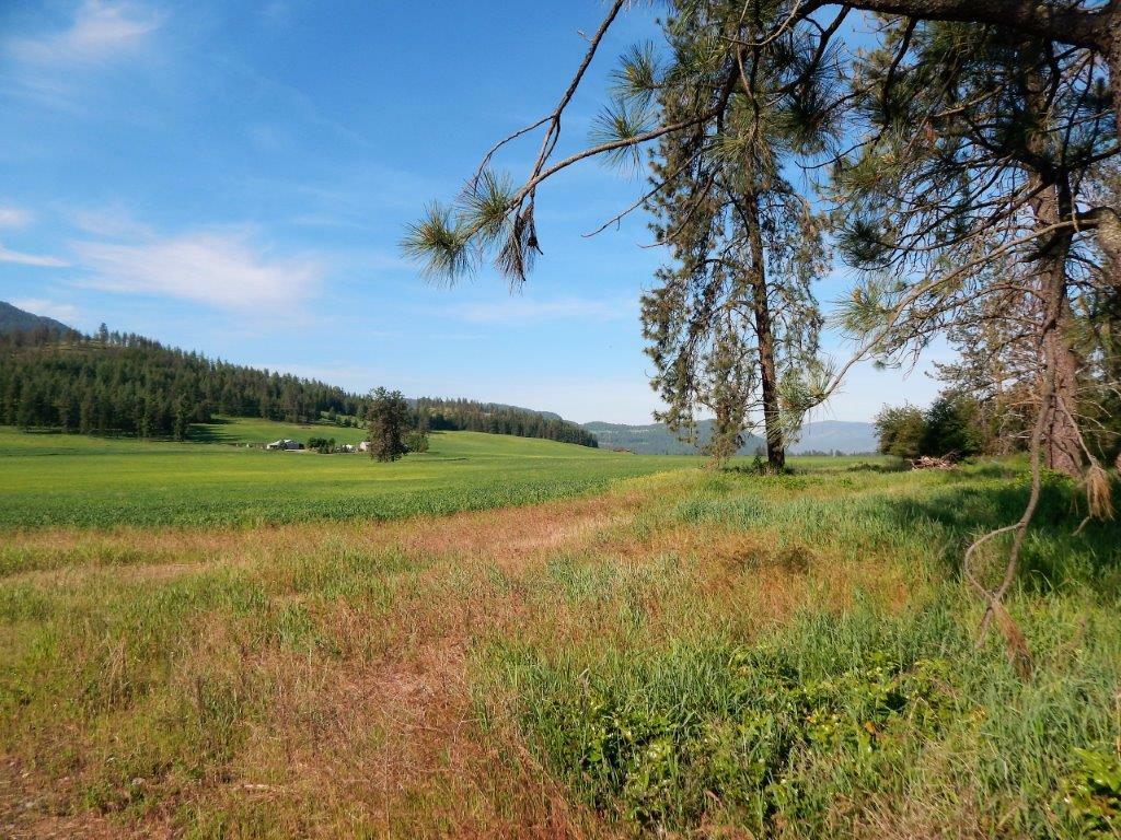 Property Photo:  Tbd Greenwood Loop  WA 99141 