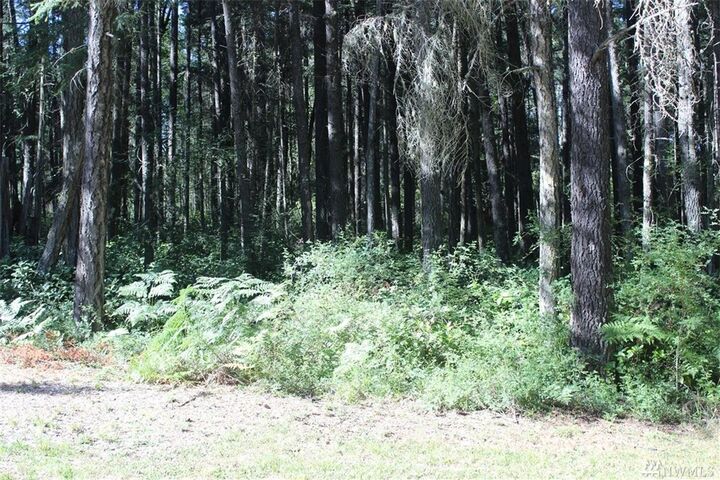 Property Photo: Xxx Petrich Rd WA 98250