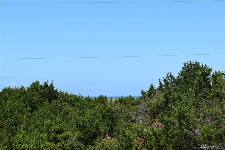 Property Photo:  722 S Sand Dune Ave SW  WA 98569 