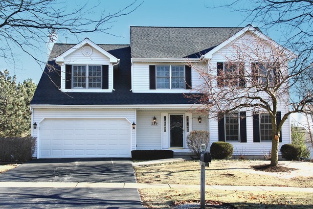 Property Photo:  389 Colonial Circle  IL 60134 