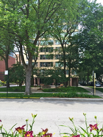 Property Photo:  2970 N Lake Shore Drive N 6E  IL 60657 