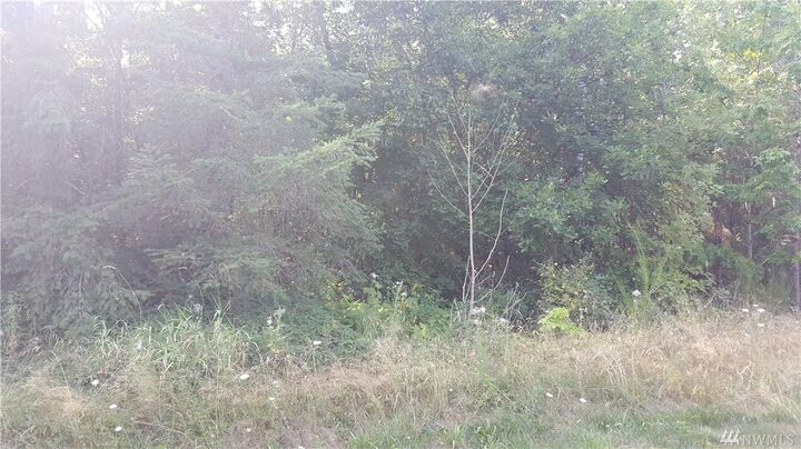 Property Photo:  14235 Rainier View Dr SE  WA 98597 