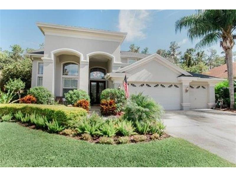 27623 Pine Point Drive  Wesley Chapel FL 33544 photo