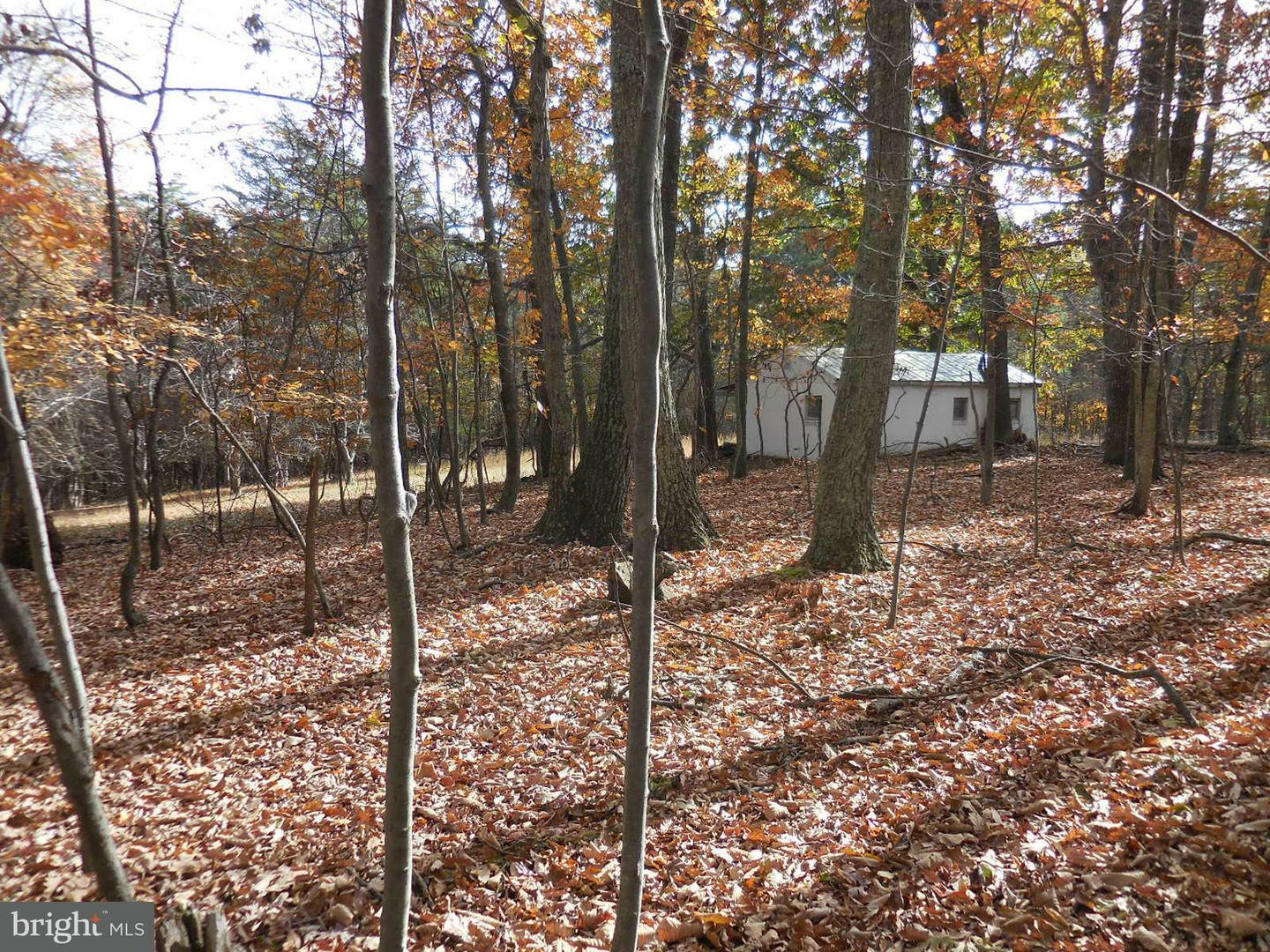 Property Photo:  0 Shockeysville Road  VA 22603 