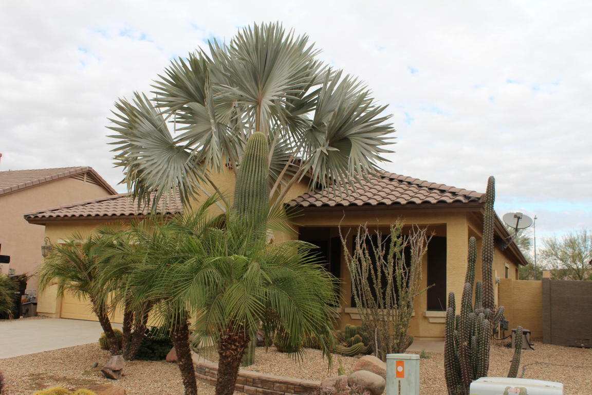 Property Photo:  10710 W Jefferson Street  AZ 85323 