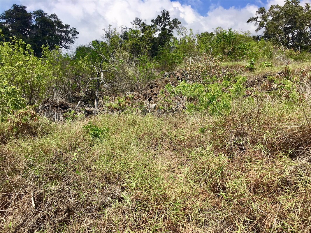 Property Photo: Donola Dr HI 96737
