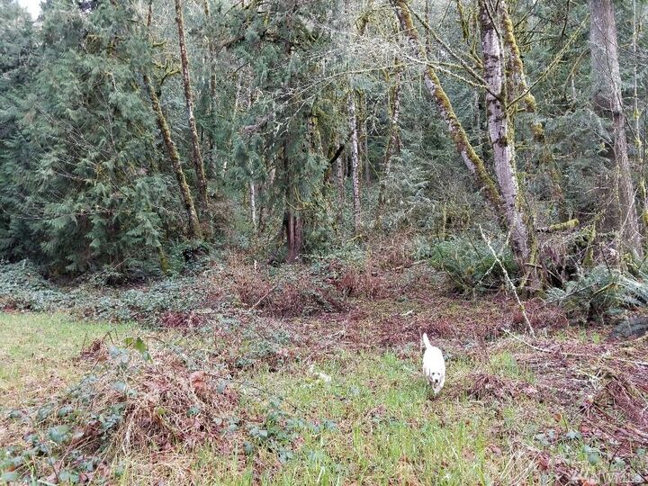 Property Photo:  0 Winston Creek  WA 98564 