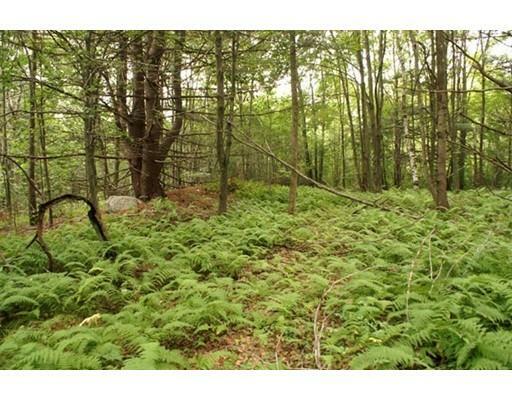 Property Photo: 8 Wauwinet Road MA 01005