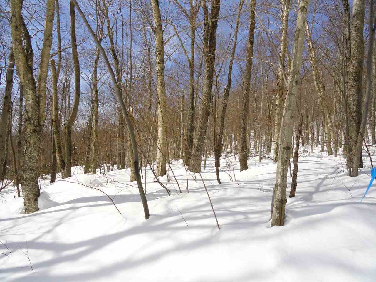 Property Photo:  3275 Camels Hump Road  VT 05462 