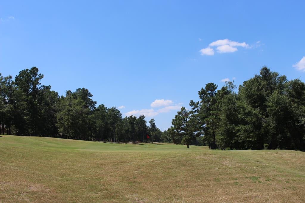 Property Photo: 267 Waverly Lane SC 29803