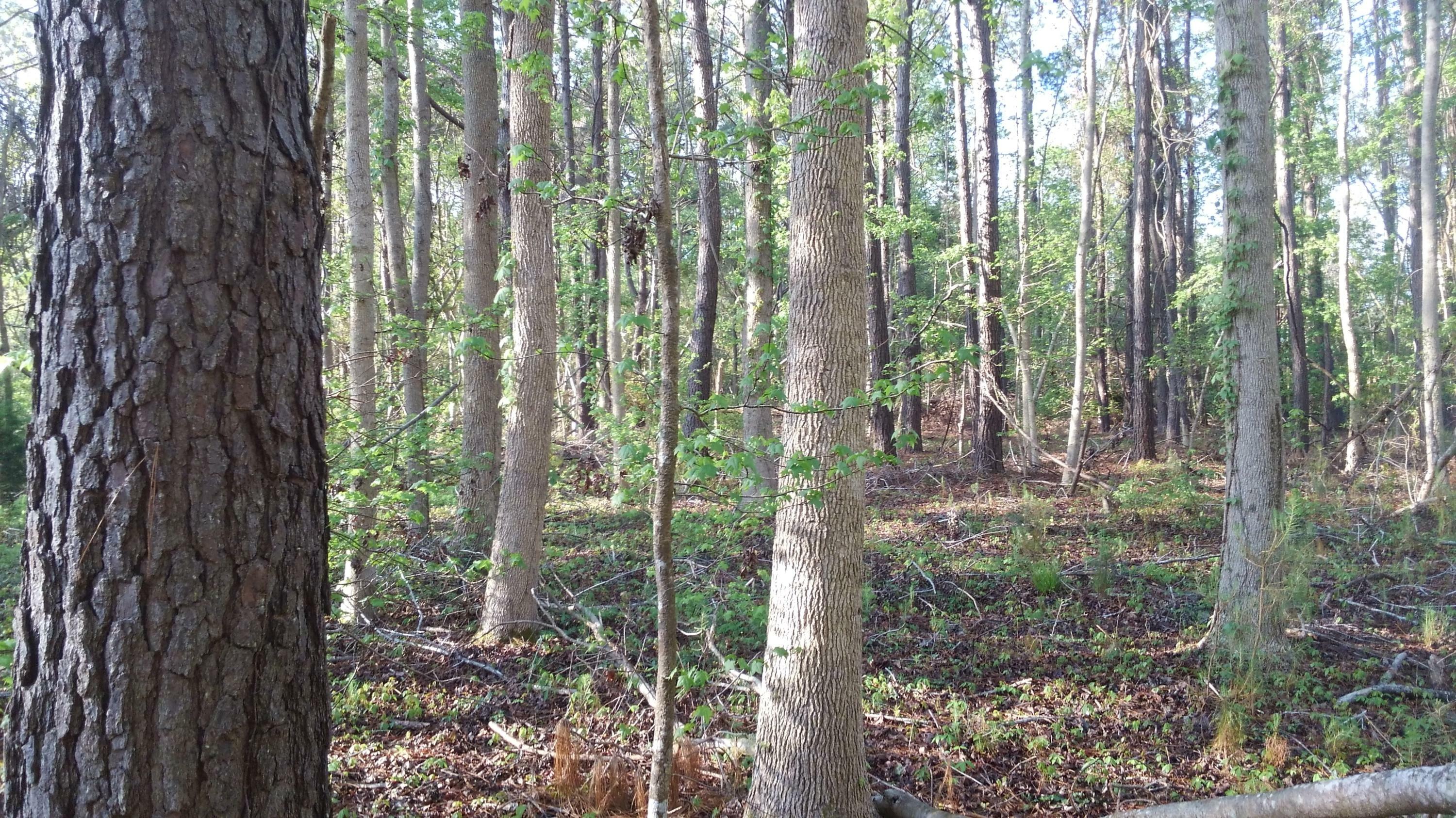 Property Photo:  000 Maybank Hwy  SC 29487 