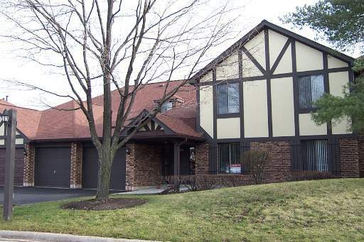 Property Photo:  1435 Johnstown Lane D  IL 60187 