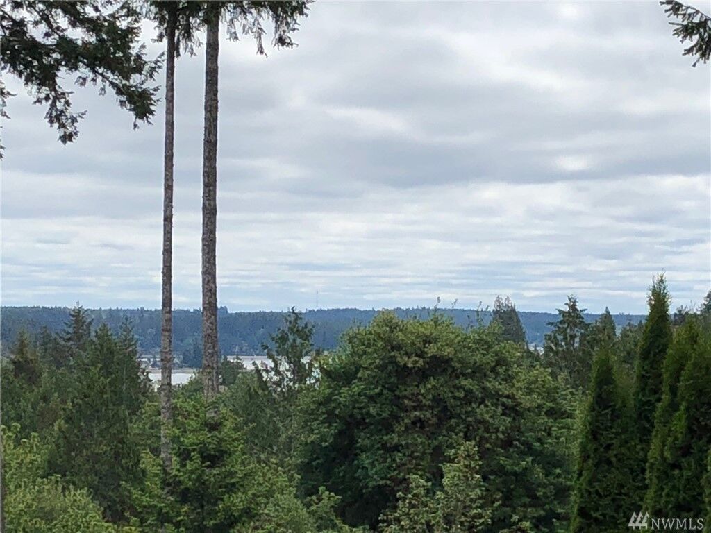 Property Photo:  281 E Mountain View Drive  WA 98524 