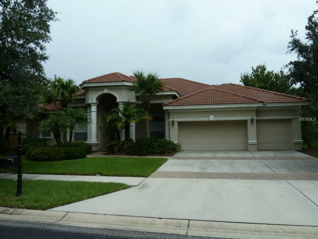 Property Photo:  17223 Emerald Chase Drive  FL 33647 