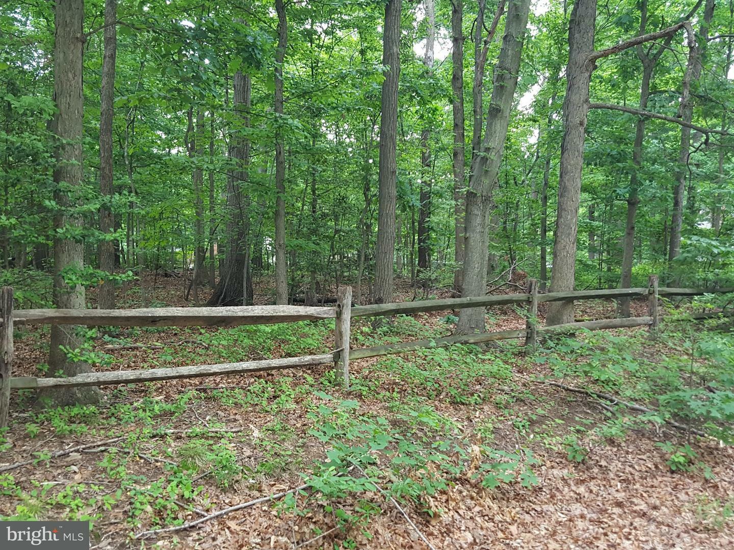 Property Photo:  6351 Evangeline Lane  VA 22312 