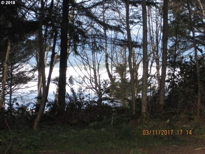 Ray Brown 1504  Arch Cape OR 97102 photo