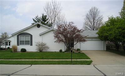 1071 Trifecta  Florissant  63034 photo