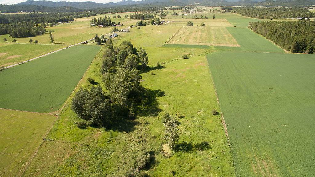 Property Photo: 0 N Grove Rd WA 99006
