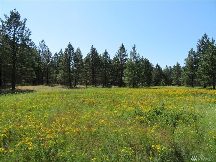 Property Photo:  Lot 1 Sourdough Flats Rd  WA 99166 