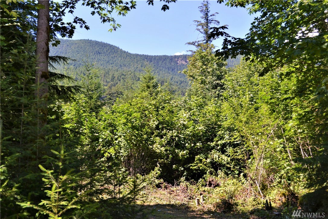 Property Photo:  564 Cougar Run  WA 98376 