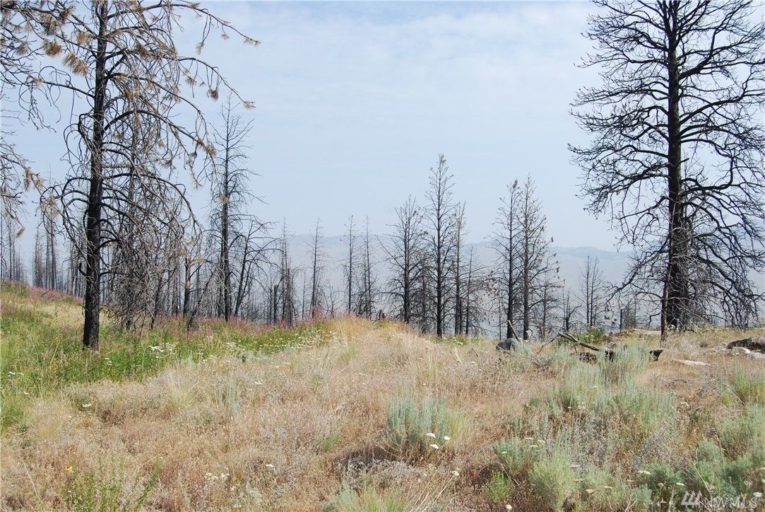 Property Photo:  100003 Hosheit Rd  WA 98849 