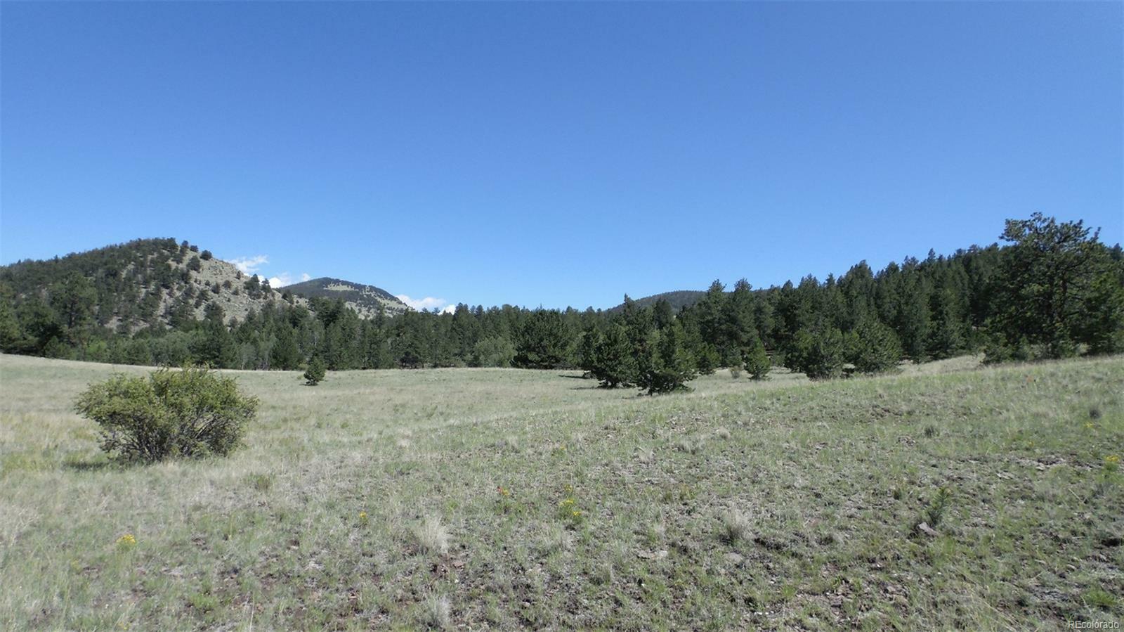 Property Photo:  312 Copeland Road  CO 80820 