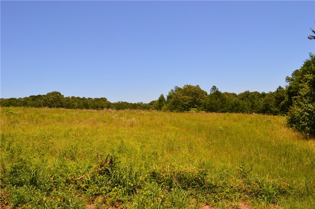 Property Photo:  1029 Terrapin Crossing Road  SC 29657 