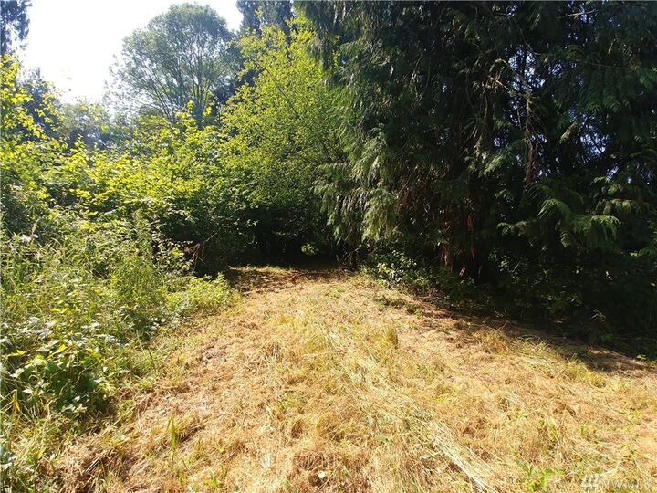 Property Photo: 0 Tiger Lily Place WA 98532