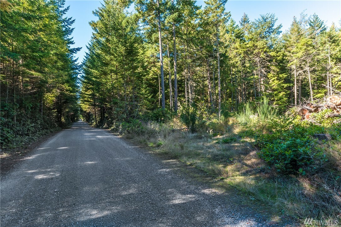 Property Photo:  Lot B Winterhawk Lane  WA 98239 