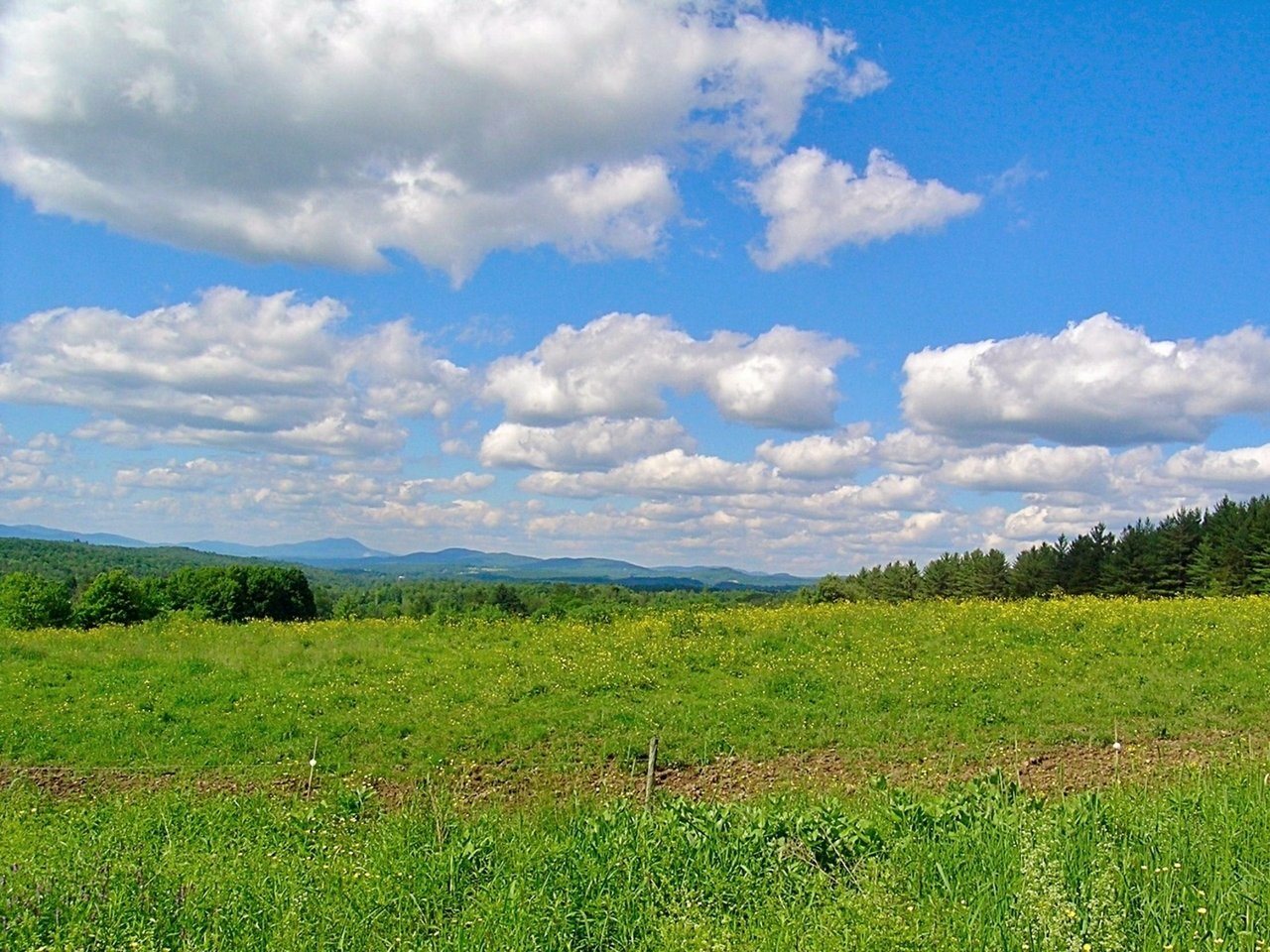 Property Photo: Lot #19 Campbell Road VT 05661