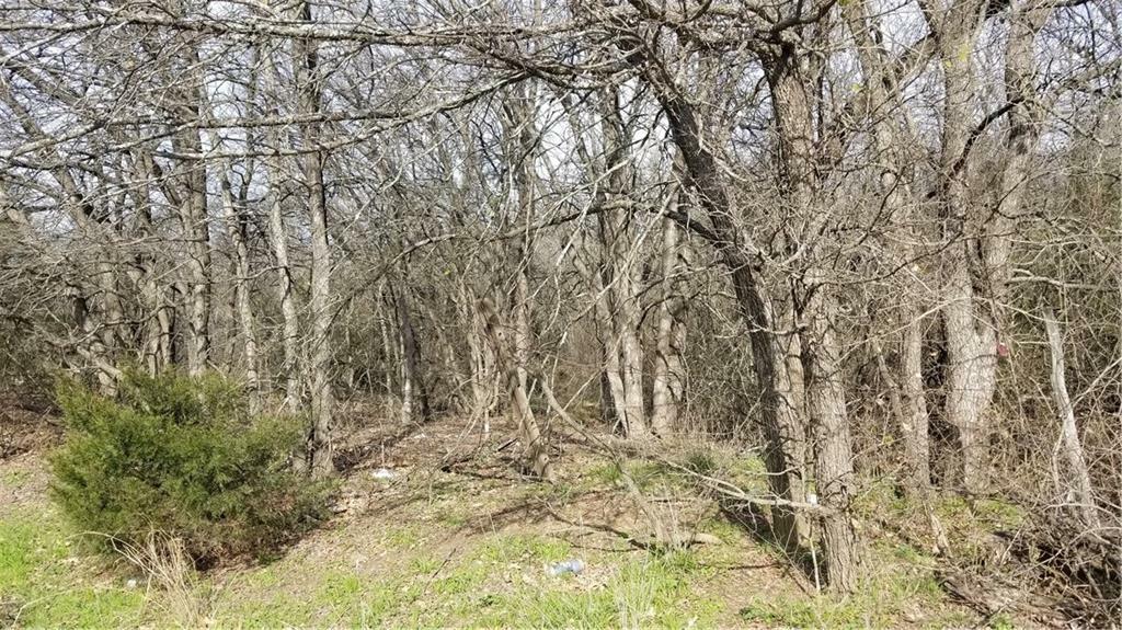 Property Photo:  201 Morgan Road  TX 76063 