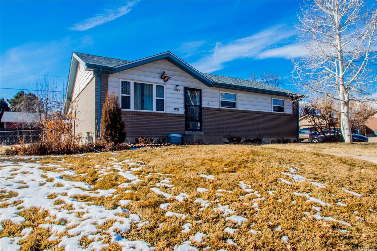 Property Photo:  11369 Irma Drive  CO 80233 