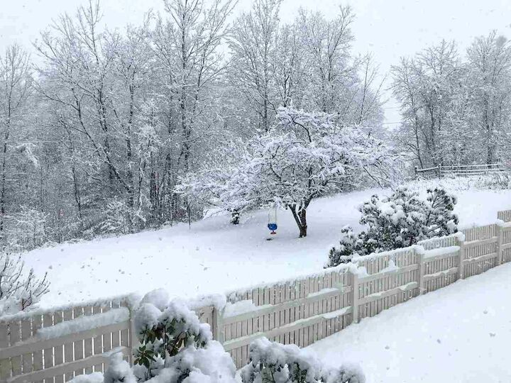 Property Photo:  4494 Vt Route 116  VT 05487 