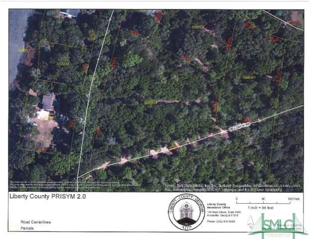 Property Photo: 0 Billy Harris Point GA 31320