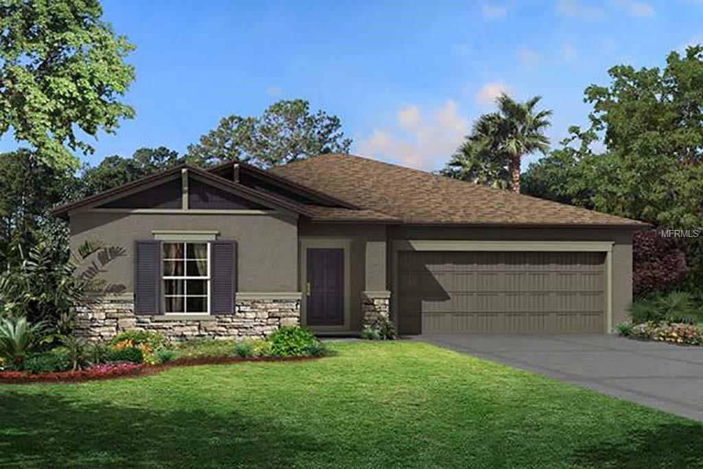 Property Photo:  18723 Alfaro Loop  FL 34610 