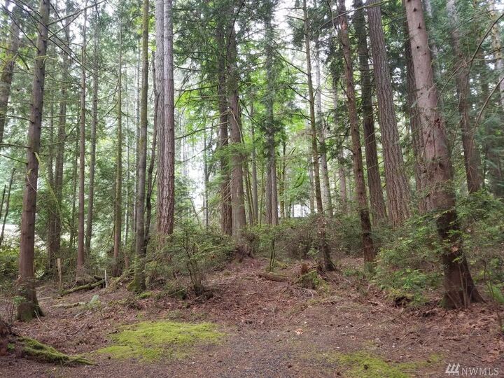 Property Photo:  347 E Pointes Dr E  WA 98584 