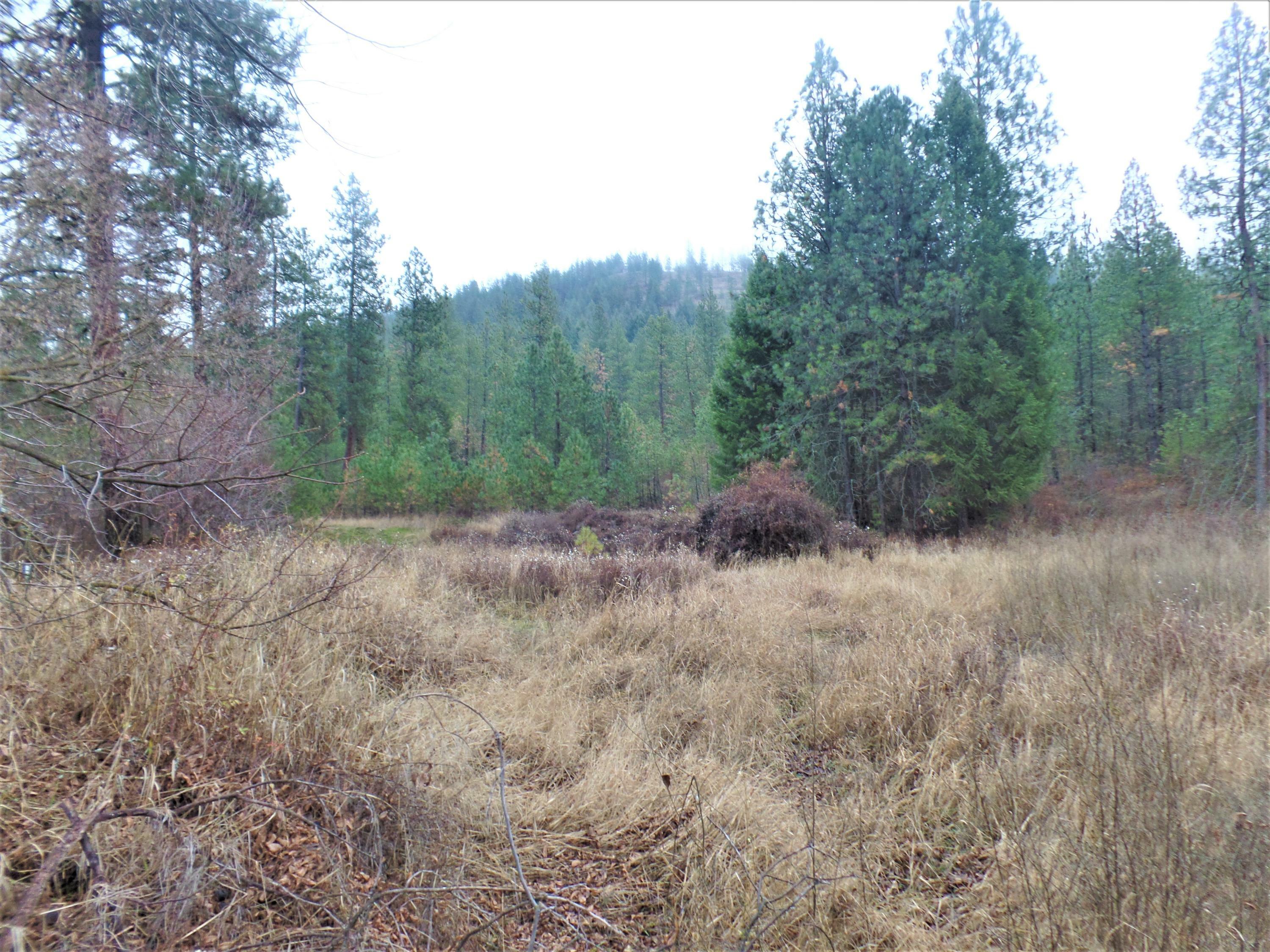 Property Photo:  Tbd Peachcrest Rd  WA 99141 