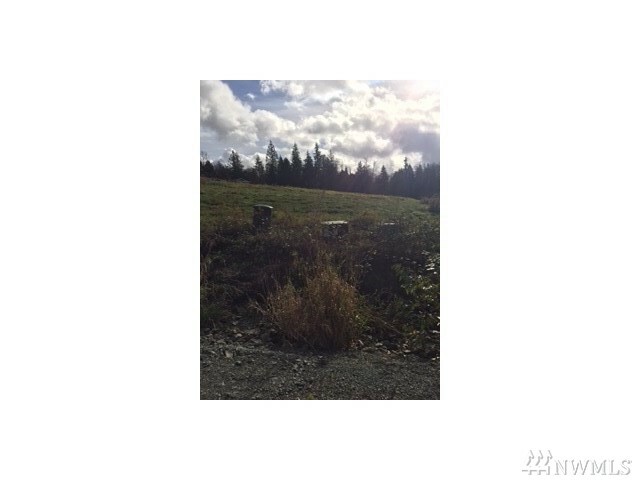 Property Photo: 24130 Nookachamp Hills Dr WA 98274